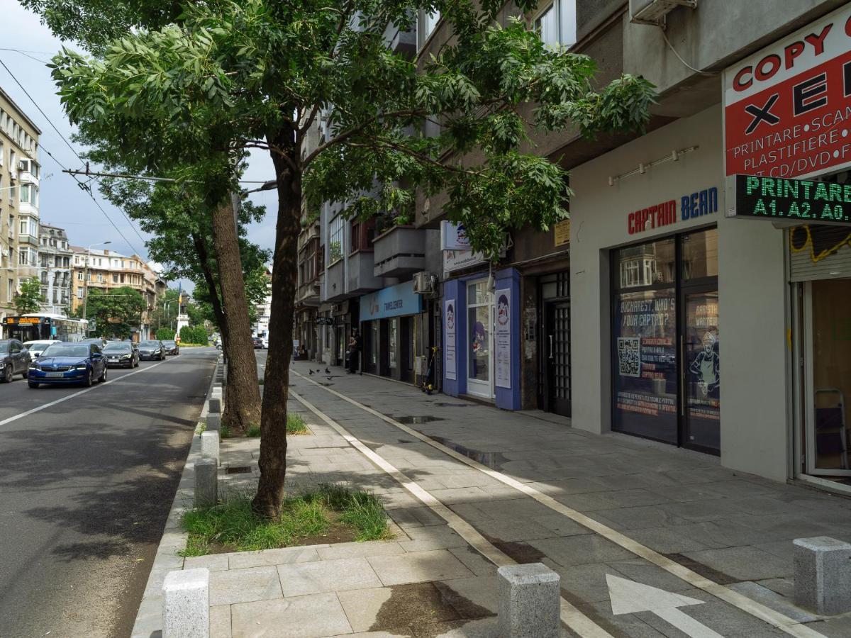 Beautiful Modern Studio - Cismigiu Park - Netflix Bucureşti Eksteriør bilde